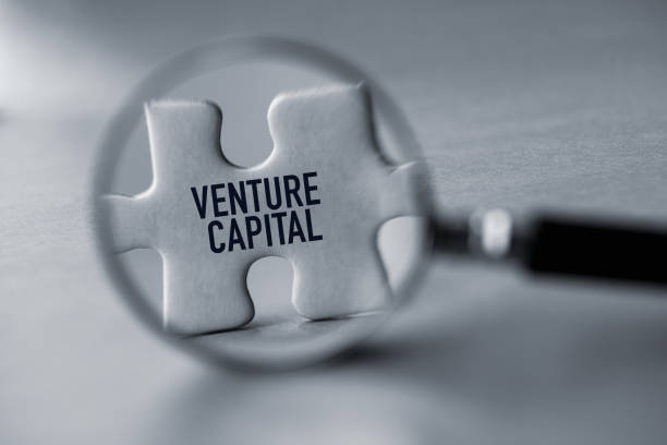 Venture Capital Background